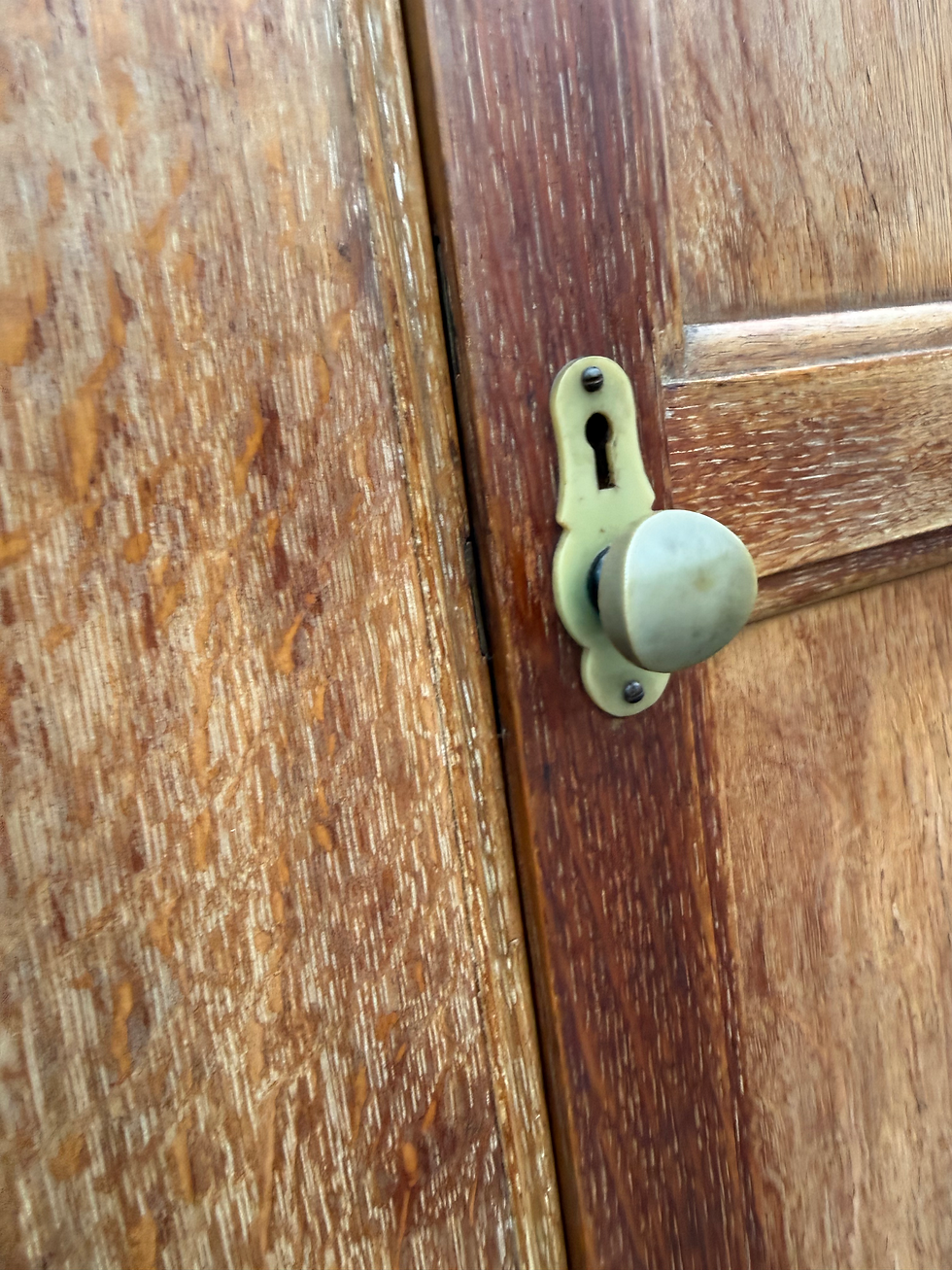 Thumbnail: 1920’s / 30’s Limed Oak Dome Top Vintage Single Hall Cupboard / Wardrobe