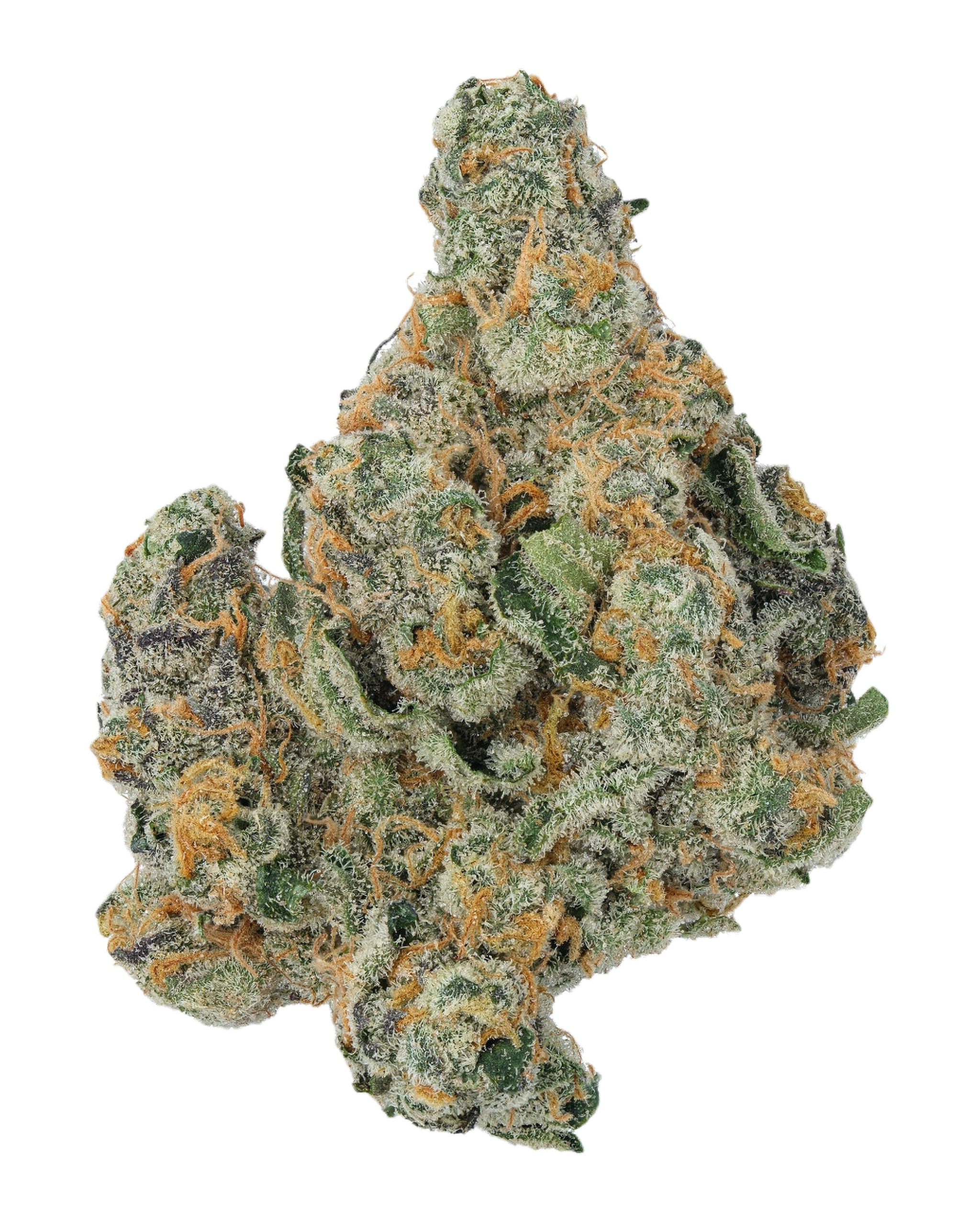 Cheetah Piss Pre-Roll