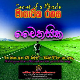 අභිධර්ම දේශනා - චෛතසික කාණ්ඩය