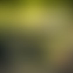 සියලු සත්ත්වයෝ සුවපත් වෙත්වා!