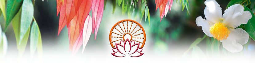 New letterhead image for web.jpg
