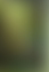 ශාස්තෲ දායාදය