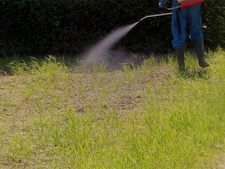 Glyphosate exposure is not just an agricultural issue—it's a human health and environmental health issue. Understanding not only where you might be exposed to glyphosate and other herbicides and pesticides, but also the total body burden from these exposures,