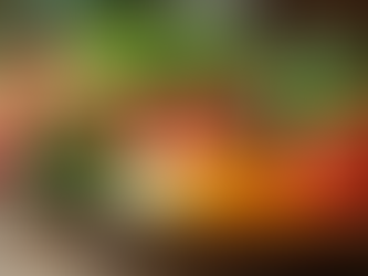 Comprehensive Holistic Wellness Services Explained