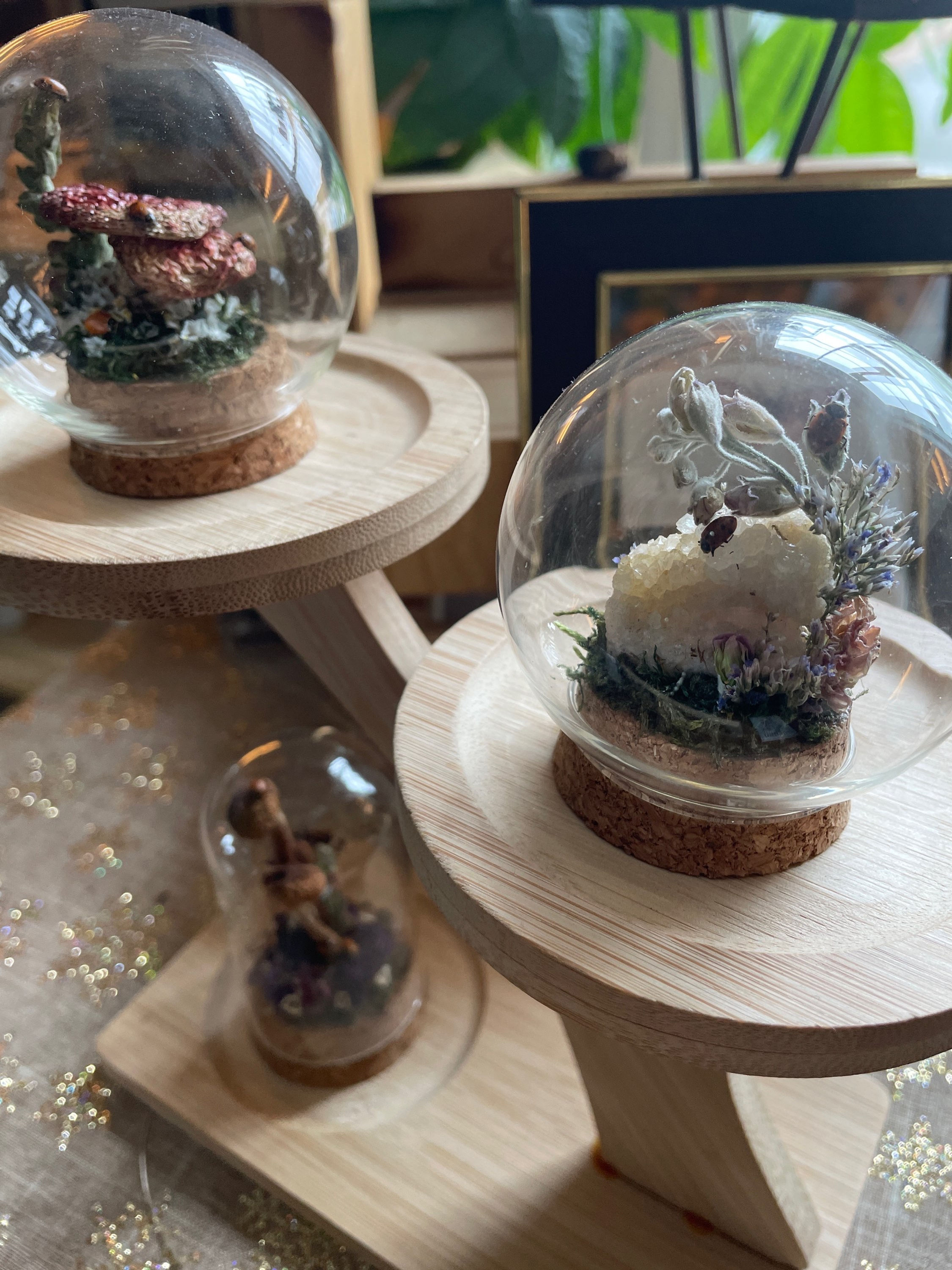 Journey with Aradia Small Globe Terrarium