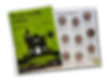 Programmheft der Theatergruppe Bühnen-Virus 22 mit grüner Schlossgrafik und Schauspielern, gestaltet von Sabrina Küng Marketing, Grafik & Text (exkl. Titelblatt)