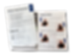 Geöffnetes Programmheft der Theatergruppe Improvisorisch aus Gränichen mit Darstellerfotos und Text, gestaltet von Sabrina Küng Marketing, Grafik & Text