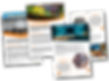 Verschiedene Flyer für die Monzoon Networks AG, im Auftrag von Lea Grossmann, gestaltet und umgesetzt von Sabrina Küng Marketing, Grafik & Text