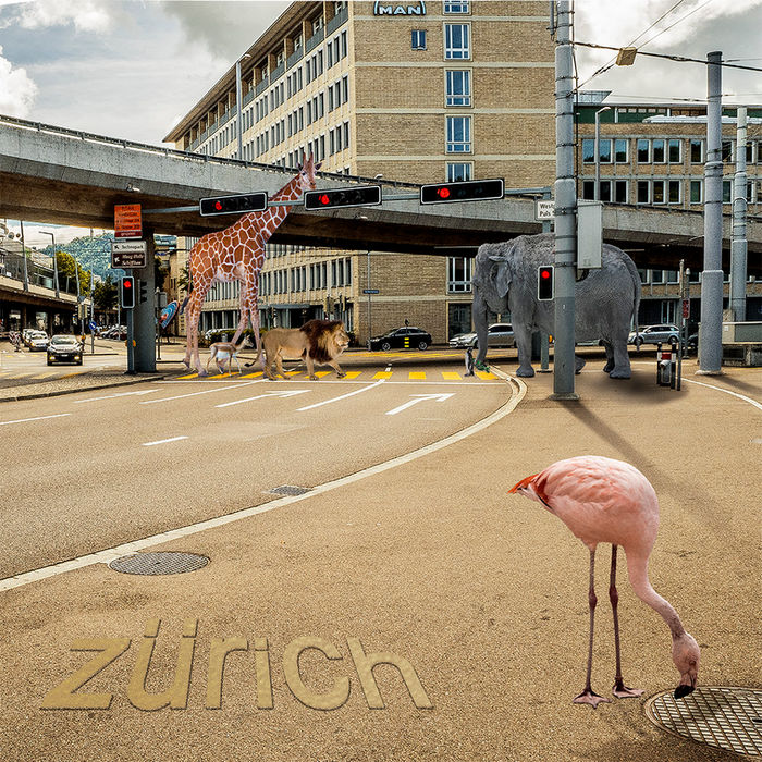 Fotocomposing mit Giraffe, Löwe, Elefant und Flamingo am Escher-Wyss-Platz in Zürich