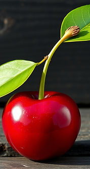 The perfect glistening cherry