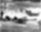 europa at titahi bay.jpg
