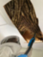ree