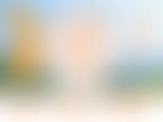 宮崎ひなた暮らし移住相談会開催