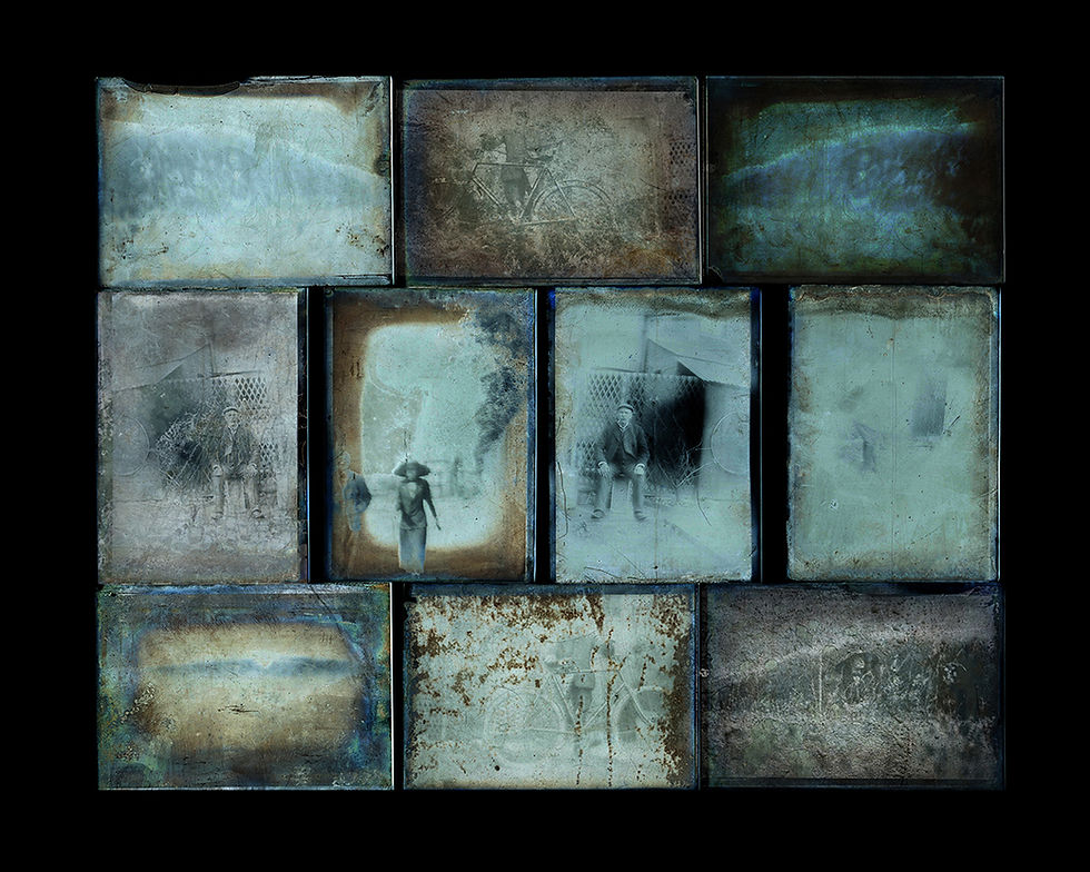 GLASS PLATES Julia Cameron Photography