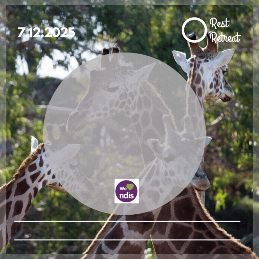 Copy of vibes (46).gif