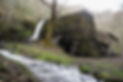 P1011150-01.jpeg