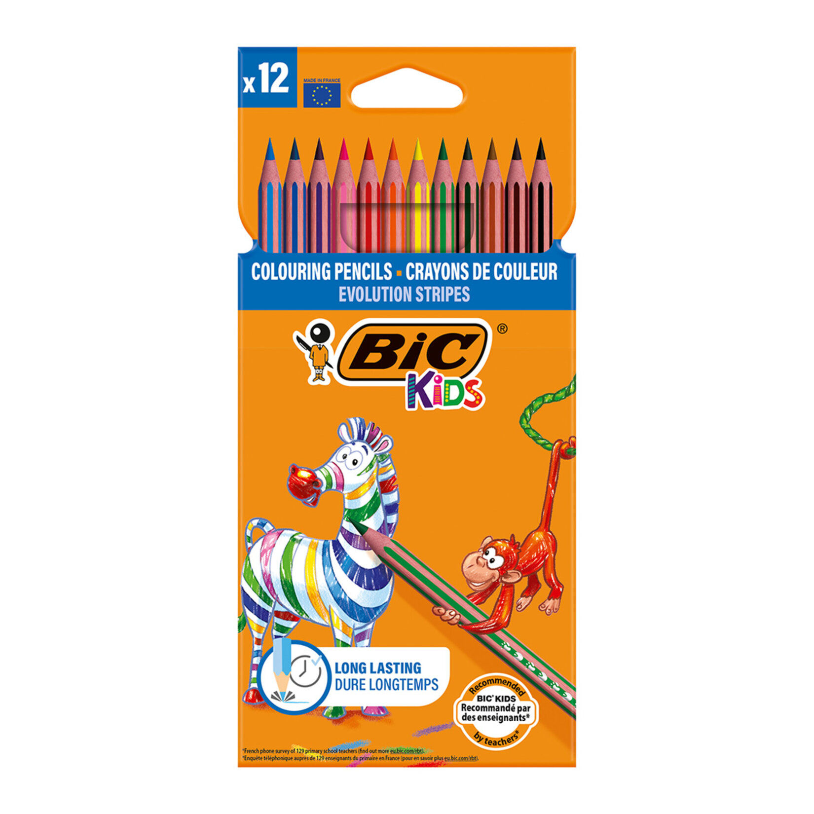 Bic Kuru Boya Kalemi 12'li