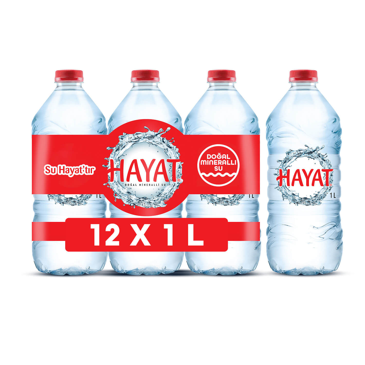 Hayat Doğal Mineralli Su 6 x 1 Lt