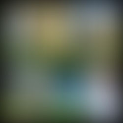 2021 Rogers Scholar Bryce Messer restocks Blessing Boxes in Knox County