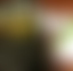 2019 Rogers Scholar Matthew Williams helps Lee Countians fill out the 2020 U.S. Census