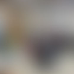 2020 Rogers Scholar Emma Johnson distributes recess bags to Pulaski Co. students