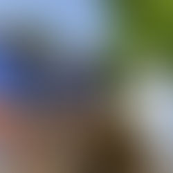 Thirty students from 12 Kentucky counties graduate from the second class of Rogers Explorers