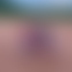 2021 Rogers Scholar Sara Bays organizes Boyd County girls' softball camp