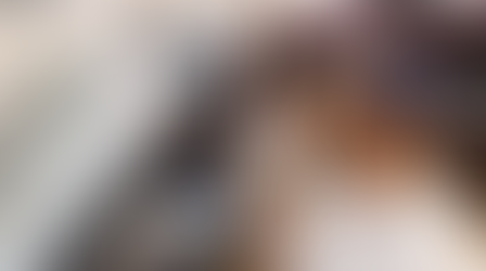 All Saints’ Day: Saints Among Us