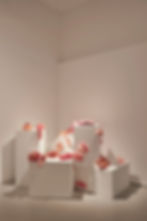 82E2BD07-0B2C-442E-8702-53A2B4578D4E.jpg