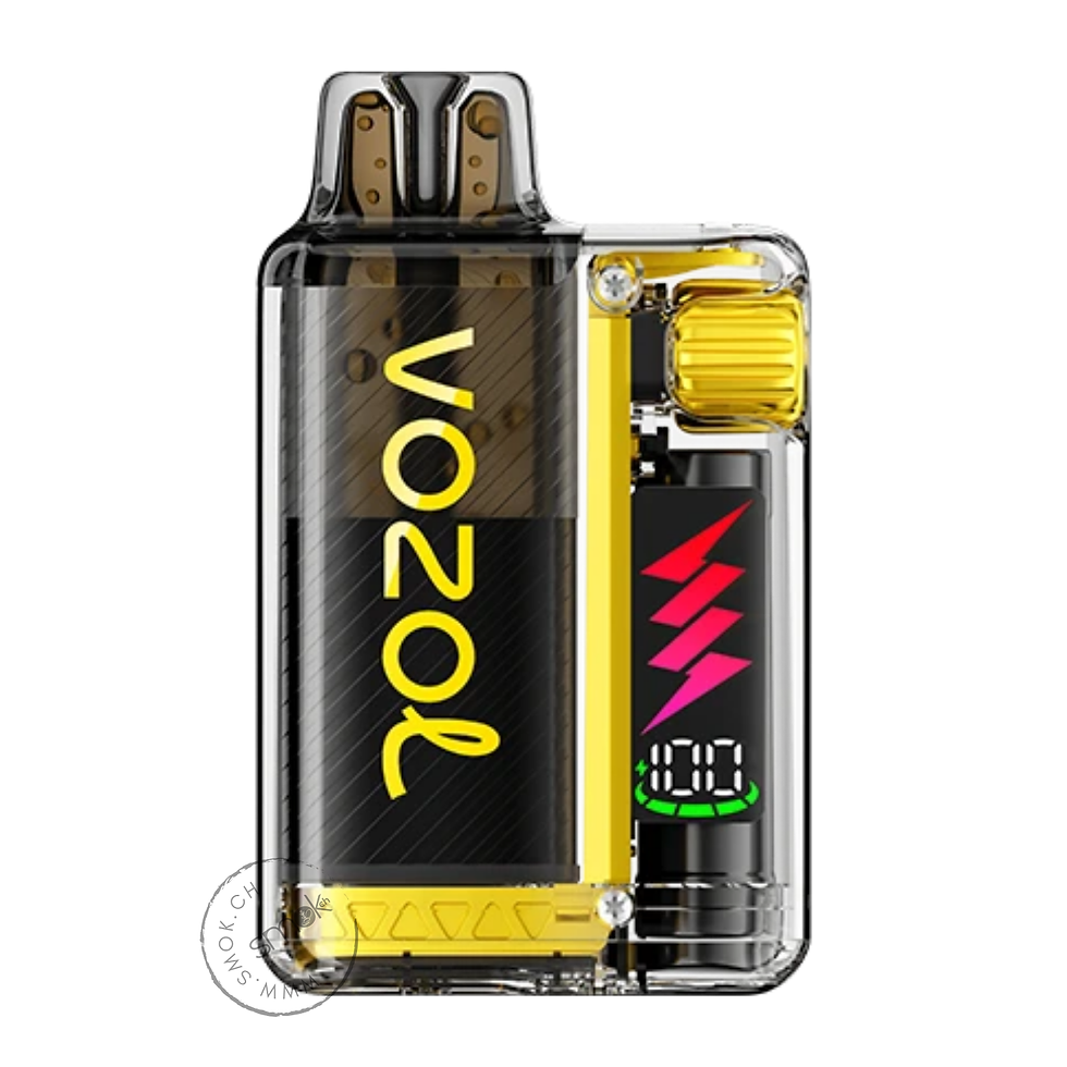 Vista Plug Starter Kit Banana Ice