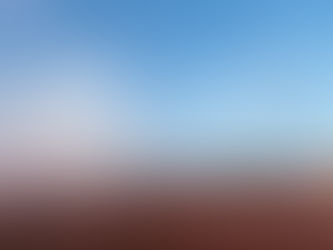 Longhorn cattle at Woodward Elks Rodeo in Crystal Beach Arena