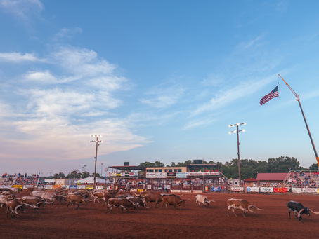 Longhorn cattle at Woodward Elks Rodeo in Crystal Beach Arena