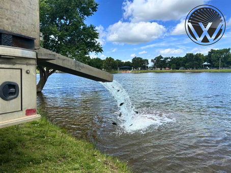 Help Us Protect Experiment Lake. Fish Crystal Beach in the Meantime.