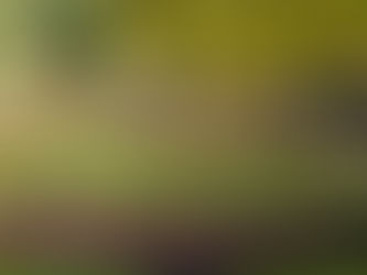 Mini golf course at Woodward's Crystal Beach Park