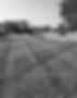 grass 2