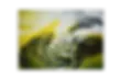 Vridis