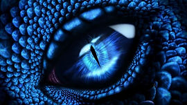 WhatsApp Image 2024-03-29 at 1.34.11 AM.jpeg