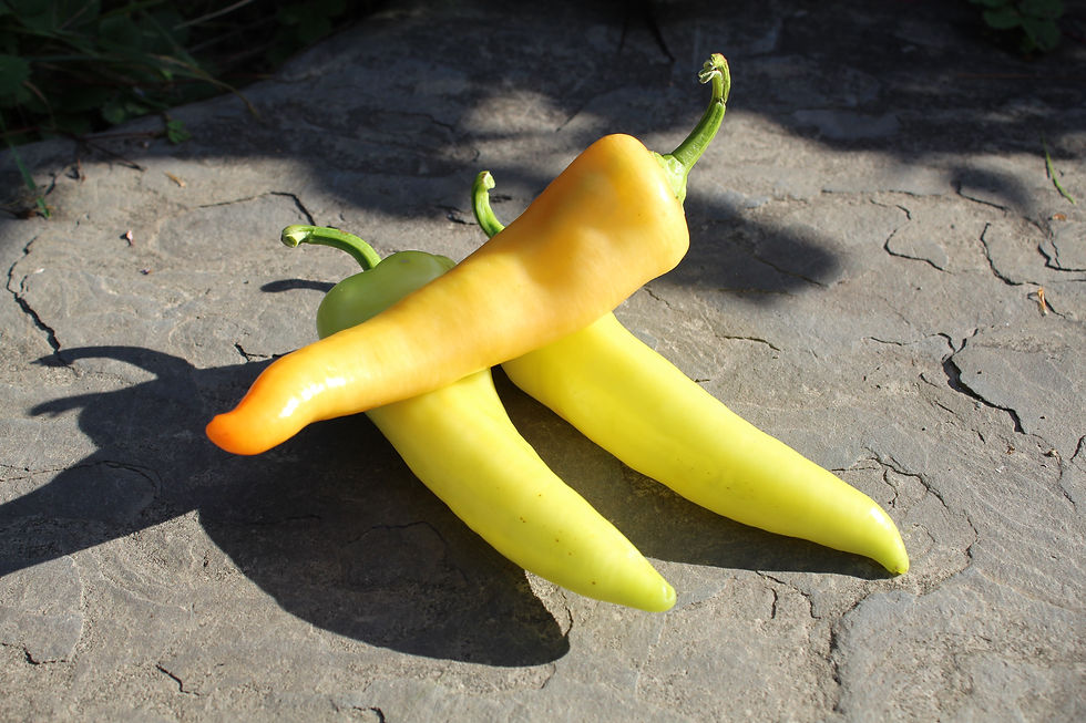 Thumbnail: Banana pepper