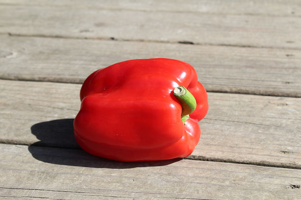 Thumbnail: Olly pepper