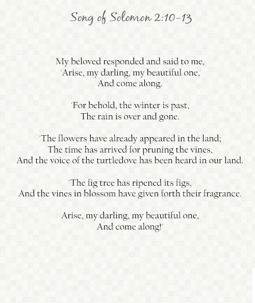 songofsolomon210-13