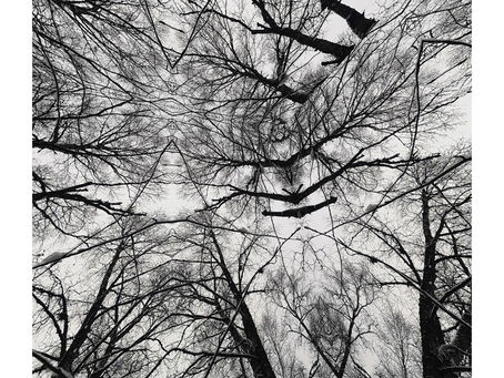 Album Review: Patricia Brennan - Maquishti