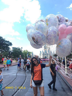 disney binho e sola 14