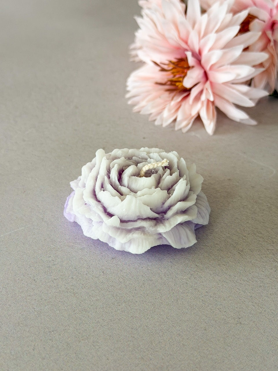 Thumbnail: Pioenroos ( 10st )