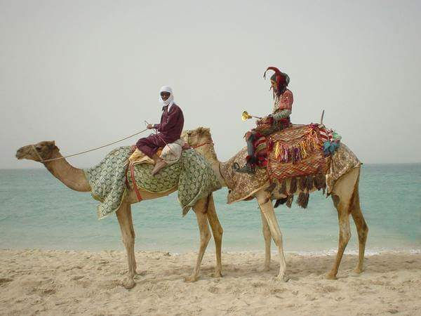 Riding a camel in the UAE