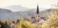 Güttingen Apfelblüte_TSR GmbH, KuhnleKnödler_11_edited.jpg