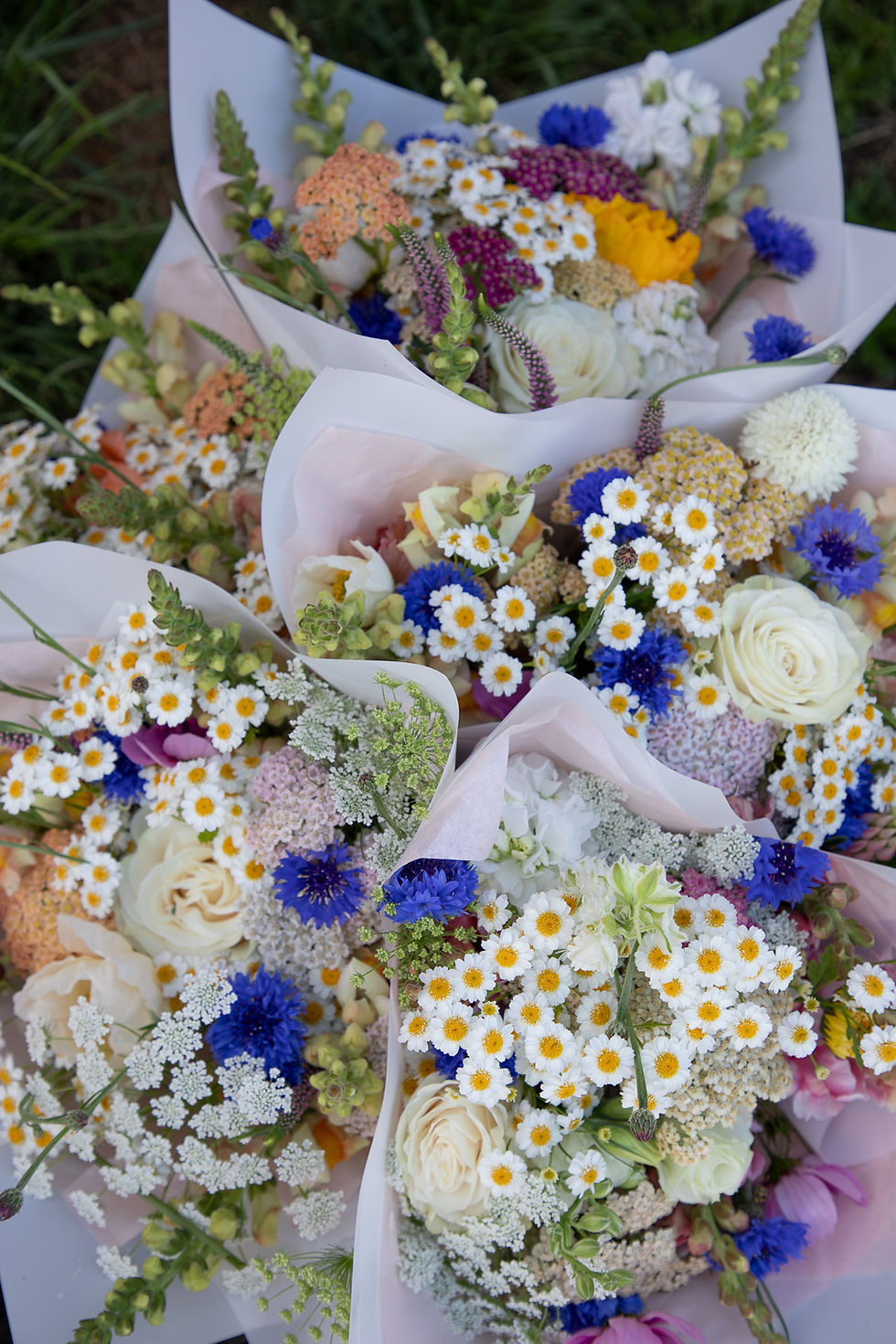 Thumbnail: 2026 CSA Bouquet Subscriptions
