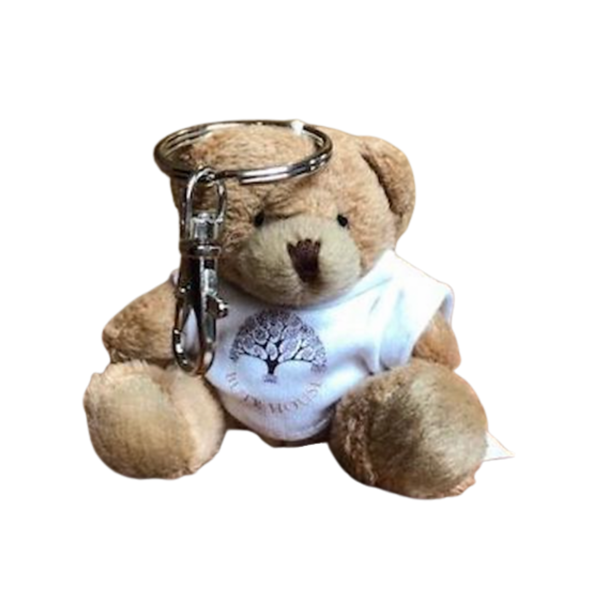 Teddy Keyring