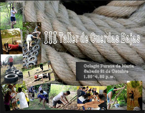 Taller de cuerdas