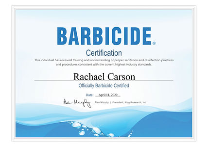 Barbicide Rachael.jpg