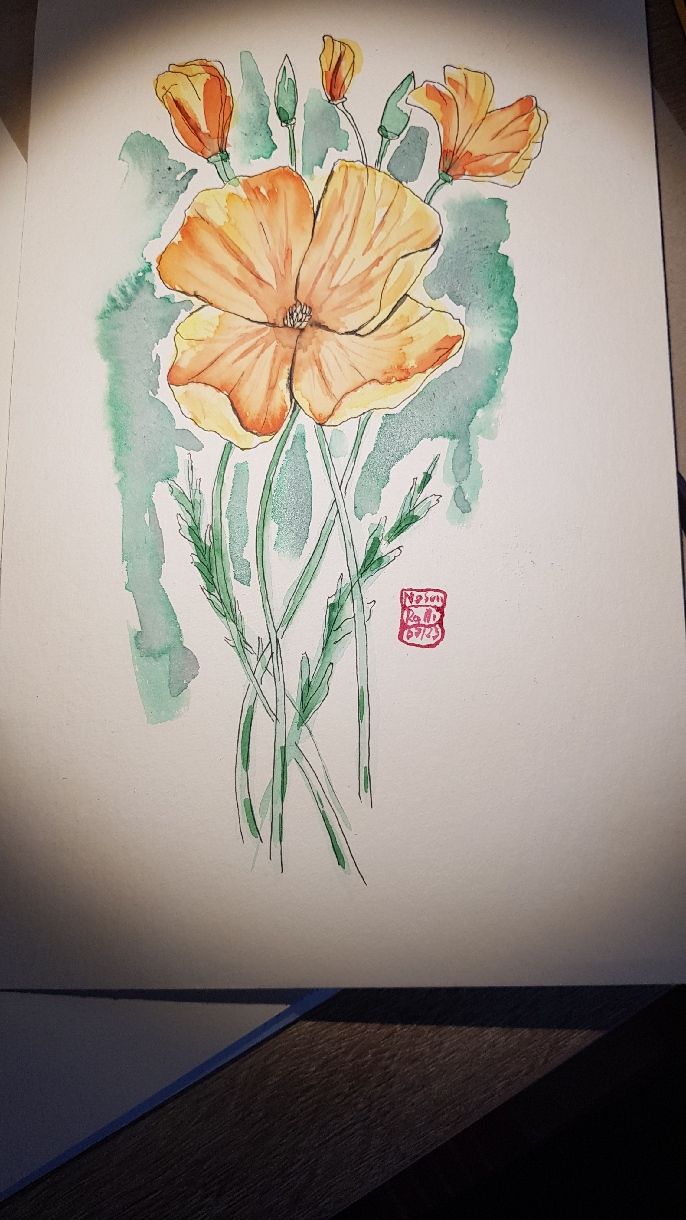 Kalifornischer Mohn — Licht aus der Erde